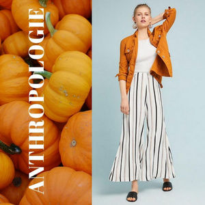 Anthropologie Striped Trouser